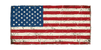 An icon depicting the American flag.