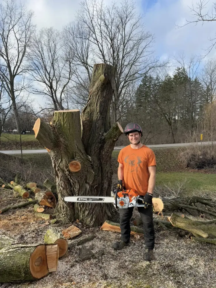 The owner and founder of The Axe Man standing with his chainsaw next to a massive tree taken down for a customer.