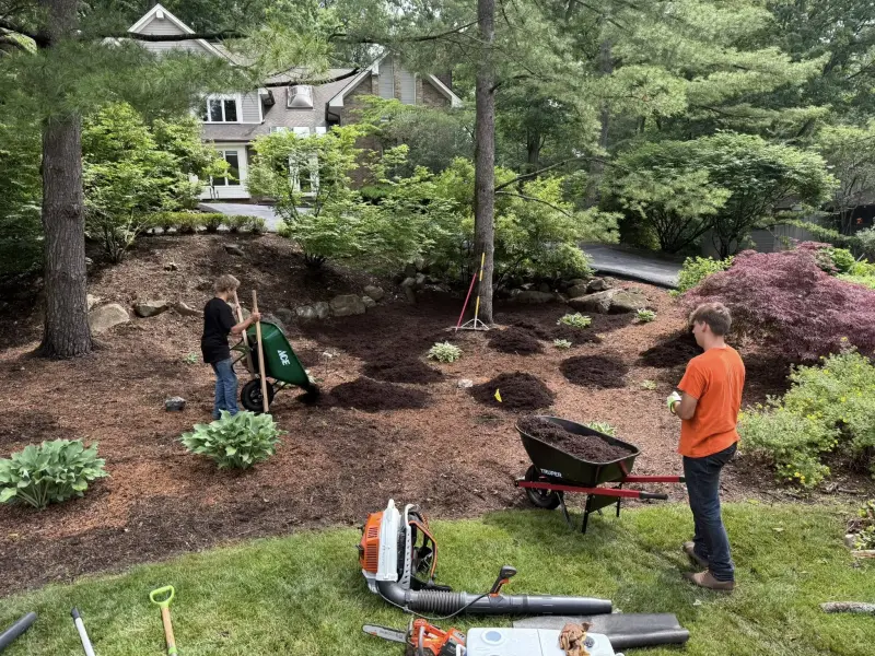 A crew of workers from The Axe Man spread fresh mulch around a newly planted garden landscape.