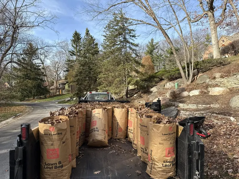 A trailer full of leaf litter, after cleanup in at a Monroe, Michigan residence.