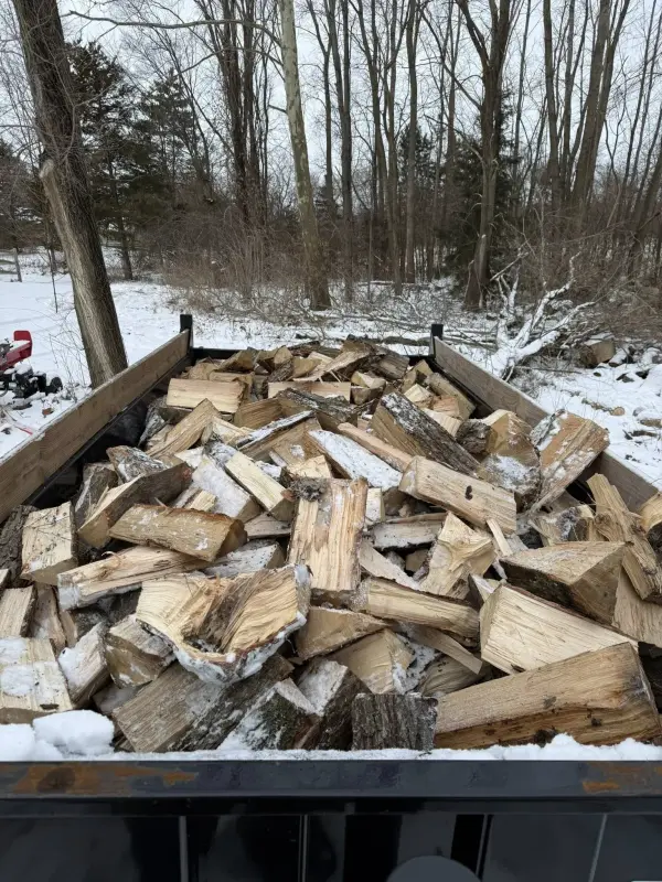 A trailer full of seasoned firewood to for a customer's wood burning stove to heat their home in the cold Michigan winter.